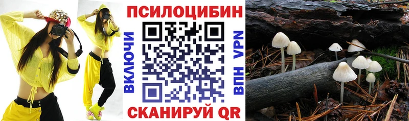 Купить закладки  Киселёвск  Галлюциногенные грибы GOLDEN TEACHER 