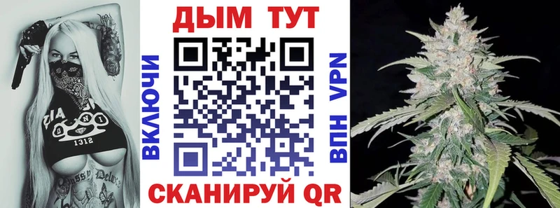 Купить где  Киселёвск  Бошки марихуана Amnesia 